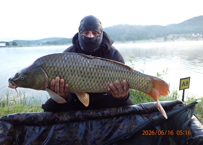 catch-photo
