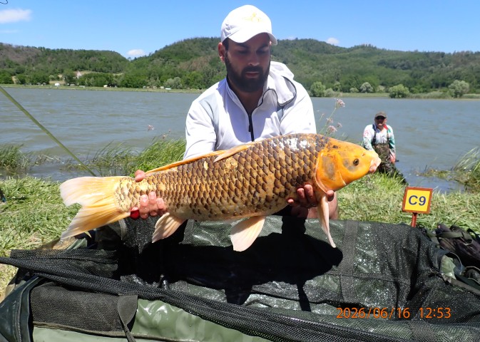 catch-photo