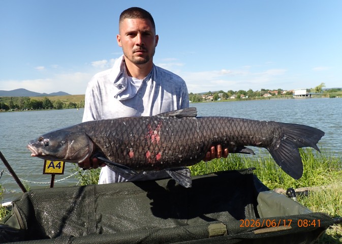 catch-photo