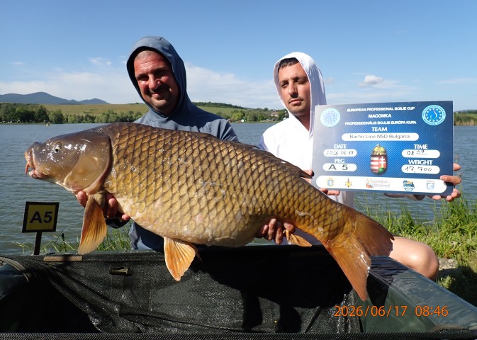 catch-photo