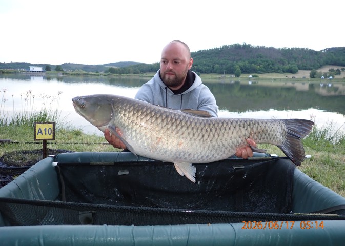 catch-photo