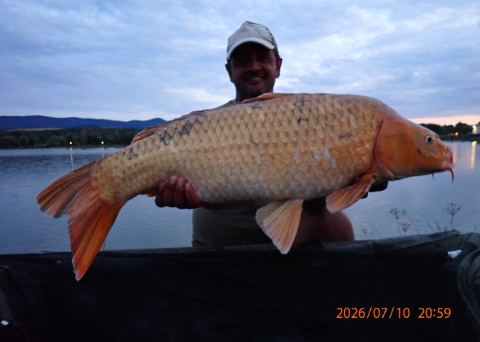 catch-photo