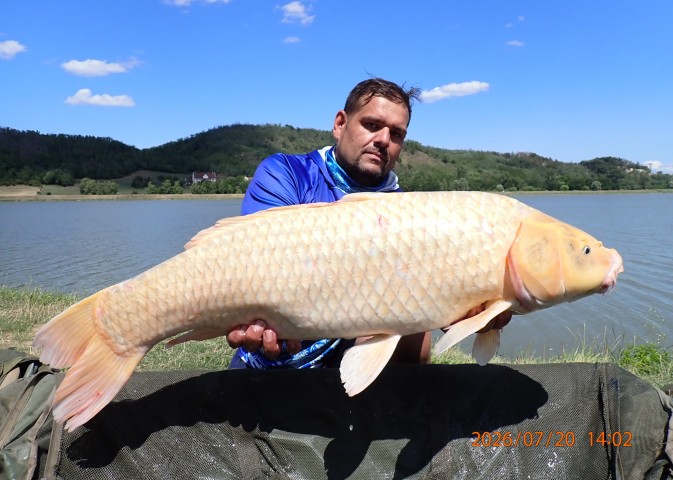 catch-photo