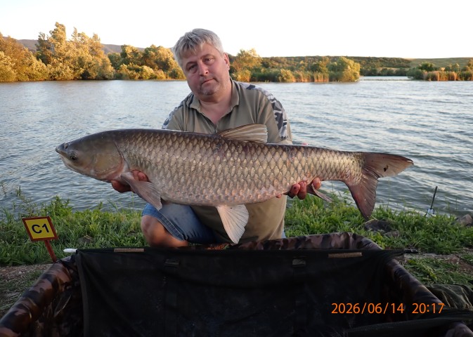 catch-photo