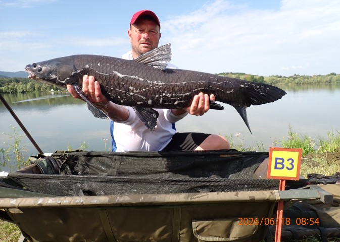 catch-photo