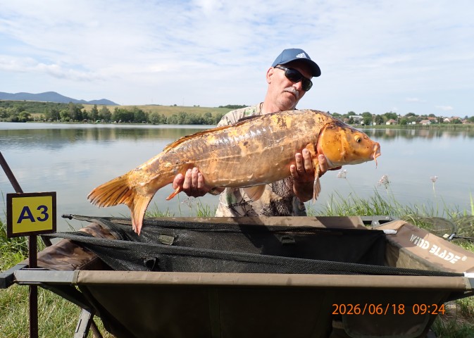 catch-photo