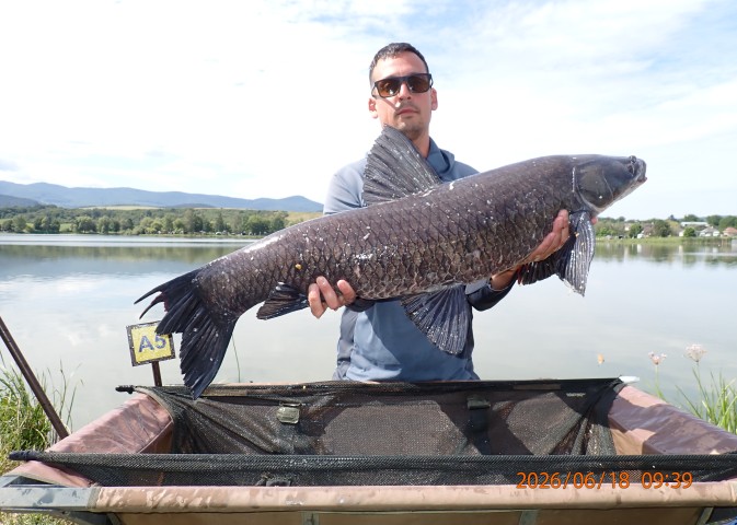 catch-photo