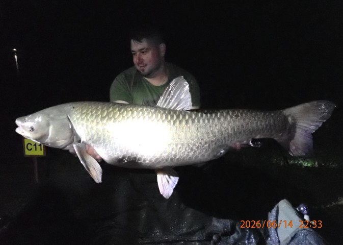 catch-photo