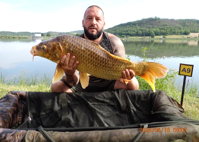 catch-photo