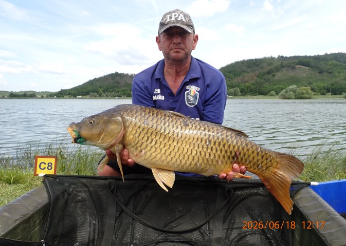 catch-photo